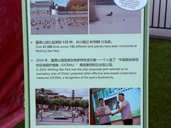 -迪士尼小镇