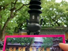 -普陀山风景名胜区-法雨禅寺