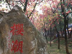 -昆明动物园