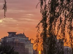 -朝阳公园