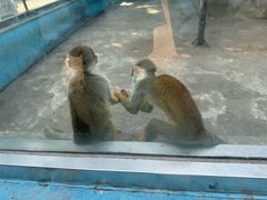 -秦皇岛野生动物园