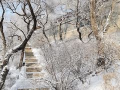 -北山公园