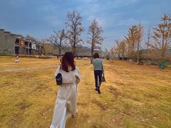 -千年银杏谷文化旅游区