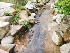 -火炉山森林公园