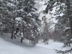 -大秃顶子山