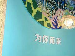 -云中鱼蒸汽石锅鱼(川沙百联店)