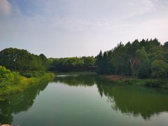 -尚贤河湿地