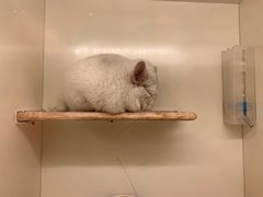 -龙猫仔乐园(惠福东路店)