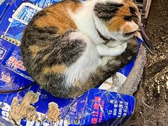 -屋里家延边朝鲜族冷面(梅林3店)