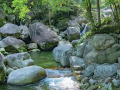 -大鄣山卧龙谷景区