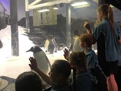 -悉尼海洋生物水族馆