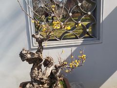 -无锡梅园公园