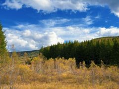 -塞罕坝国家级自然保护区