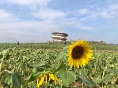 -光明小镇欢乐田园