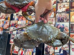 -喜记避风塘炒辣蟹(旗舰店)