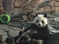 -泉州海丝野生动物世界