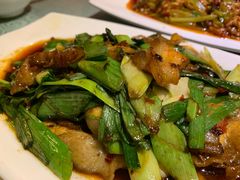 回锅肉-陈麻婆豆腐总店