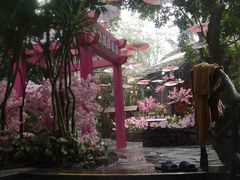 -海口观澜湖火山温泉谷