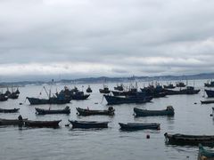 -海源公园