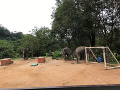 -普吉镇