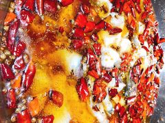 -雲蜀龙阁·金牌水煮鱼(方庄店)