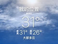 -喜上喜鸡煲翅(吉大店)