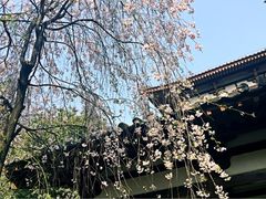 iphone_upload_pic-西安青龙寺遗址景区