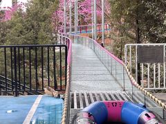 -盈香心动乐园