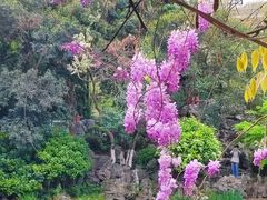 -郑和公园