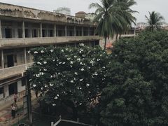 -吐斯廉屠杀博物馆