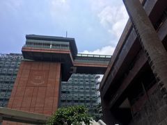 -香港大学