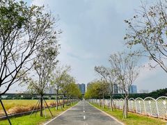 -光明小镇欢乐田园
