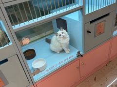 -FAELING PETS美天灵宠物(合生汇店)