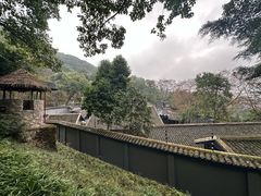 -磁器口古镇