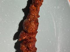 -额尔敦草原涮羊肉·烧烤(冻青树总店)
