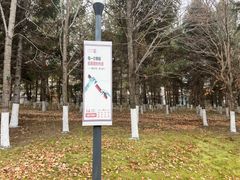 -长春世界雕塑园冰雪艺术天地