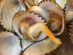 -御唐府海珊瑚主题餐厅
