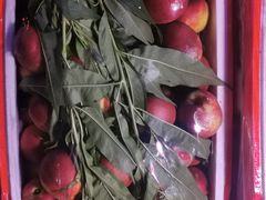 -菜园坝水果市场