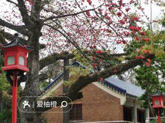 -广州中山纪念堂