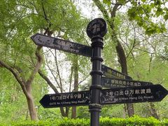 -中山公园
