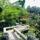 古镇风光