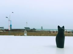 -猫的天空之城概念书店(北戴河蔚蓝海岸店)