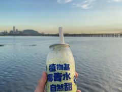 -蔻蔻椰·鲜萃椰子水(欢乐港湾店)