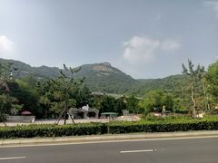 -石老人观光园