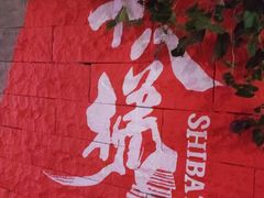 -重庆十八梯传统风貌区