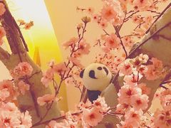 -大江户·温泉洗浴(浑南店)