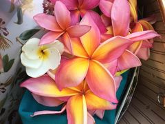 -新加坡海鲜共和(名胜世界圣淘沙海滨坊)