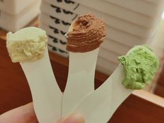 -野人先生Gelato(上海长宁龙之梦店)