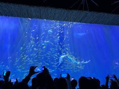 -华夏文旅海洋公园