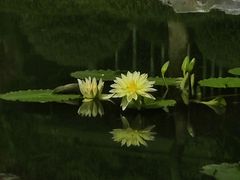 -云溪植物园